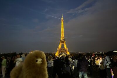 Private Paris City Night Sightseeing Tour - The 3-hour flow: how the schedule feels in real life