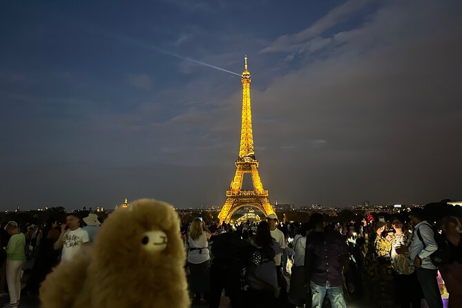 Private Paris City Night Sightseeing Tour - The 3-hour flow: how the schedule feels in real life