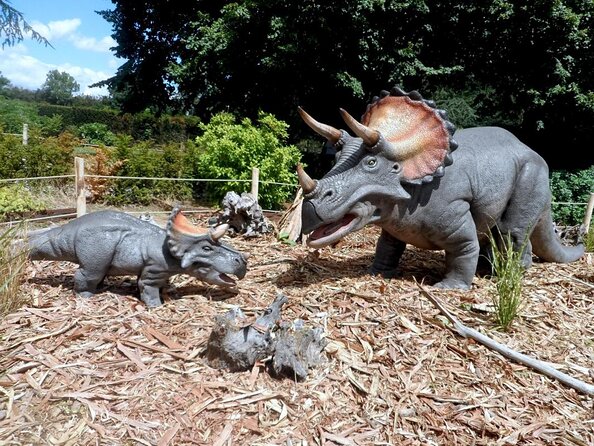 Private Return Transfer Thoiry Zoo Safari from Paris - Key points before you go
