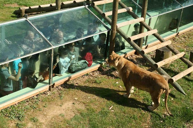 Private Return Transfer Thoiry Zoo Safari from Paris - Botanical Garden time: a calmer break from the animal route
