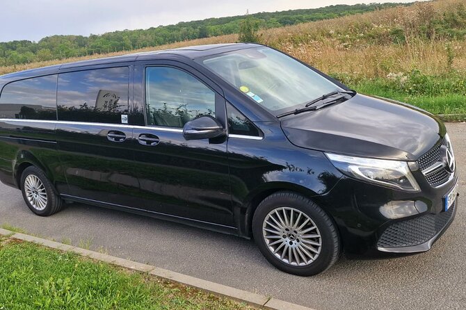 Private round trip transfer from/to Paris airports - Door-to-Door Delivery: Hotels, Apartments, and Disneyland Paris Area