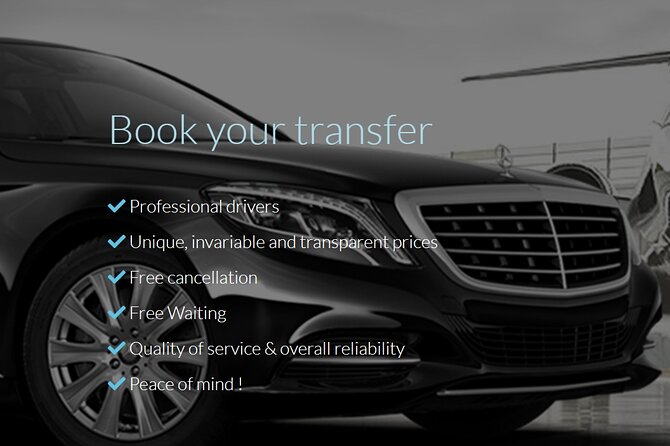 Private round trip transfer from/to PARIS <=> DISNEYLAND - How the Meet-and-Greet Pickup Works at Your Address