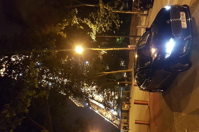 Private Shuttle from Charles de Gaulle Airport to Paris: Premium Service - Who This Transfer Suits Best