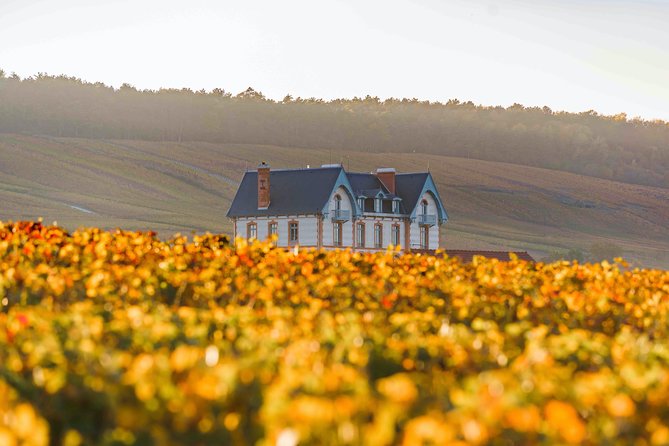 Private tour of the Champagne area, meet local producers and taste their Champagne, start from your hotel in Paris. - First Cellar Stop on the Avenue de Champagne: Big-House Heritage Meets Real Tastings