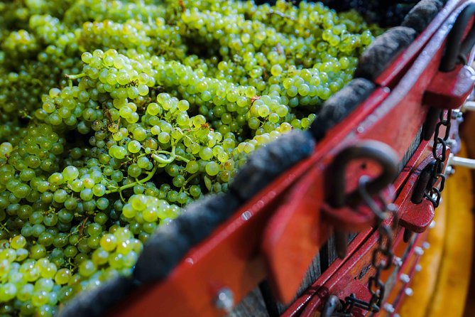 Private tour of the Champagne area, meet local producers and taste their Champagne, start from your hotel in Paris. - Avenue de Champagne for the Icon Photos and the One-Glass Moment