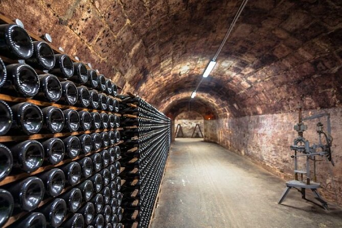 Private tour of the Champagne area, meet local producers and taste their Champagne, start from your hotel in Paris. - What You Taste: Why the Number of Tastings Matters