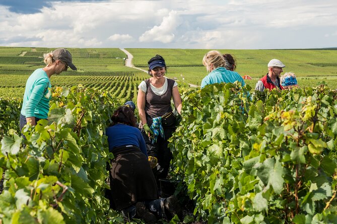Private tour of the Champagne area, meet local producers and taste their Champagne, start from your hotel in Paris. - Timing: The 10–12 Hour Reality of a One-Day Champagne Trip