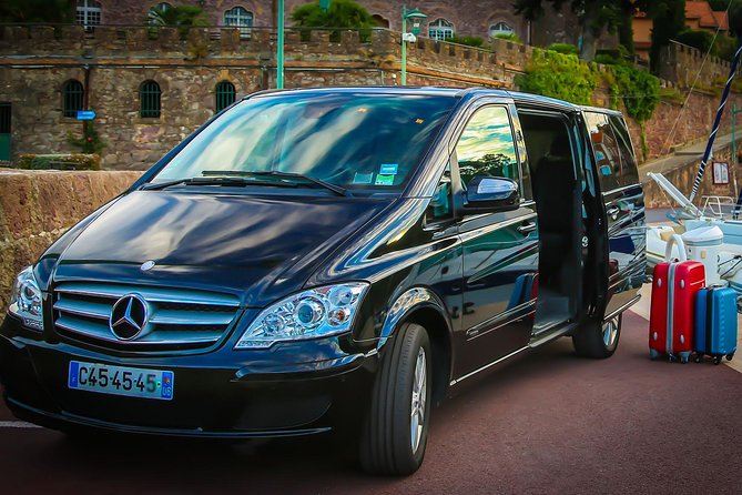 Private transfer from Paris to Disneyland - Key things to know before you go