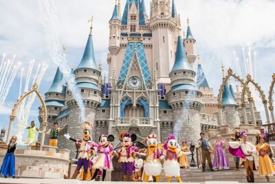 Private Transfer from Paris to Disneyland (One way) - The Comfortable Ride: Air-Conditioned, Undistracted, and Direct