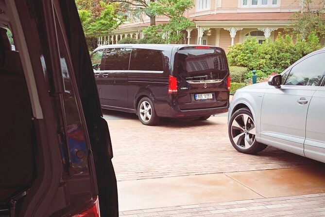 Private Transfer from Roissy CDG Airport to Disneyland Paris - Key things to love about this CDG → Disneyland Paris transfer