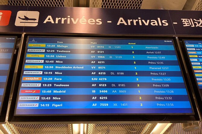 Private Transfer from Roissy CDG Airport to Disneyland Paris - Should you book this CDG to Disneyland Paris private transfer?