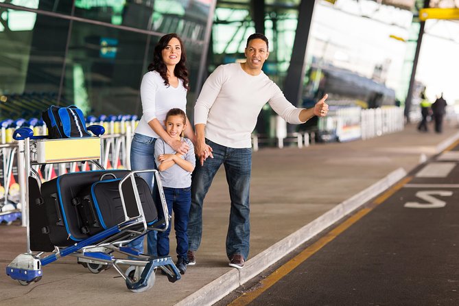 Private Transfer Orly Airport ORY & Disneyland Paris - The ride itself: comfortable private transport beats “figure it out”