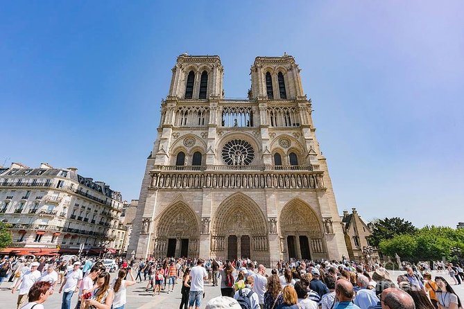 Private Transfers from Paris City to Paris Airport CDG - Choosing the Right Vehicle: Sedan Luxury vs. Family-Friendly Van