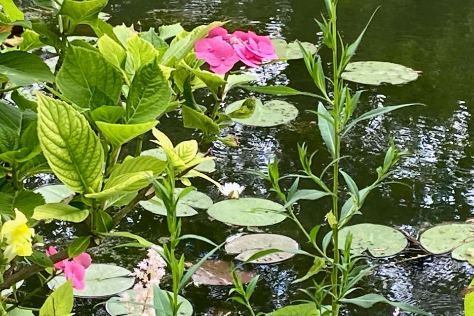 Private Trip Giverny Versailles Trianon from Paris - The Drive to Versailles: A Fast Context Reset