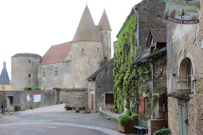 Private Wine Tour to Burgundy Region from Paris - Key things to know before you go