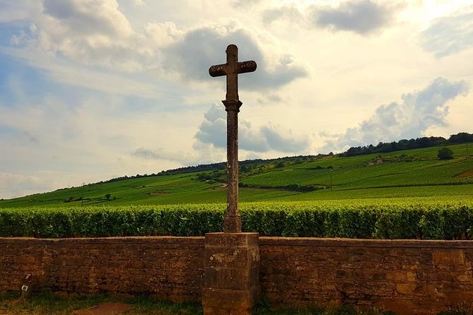 Private Wine Tour to Burgundy Region from Paris - Why a private Burgundy day from Paris feels worth it