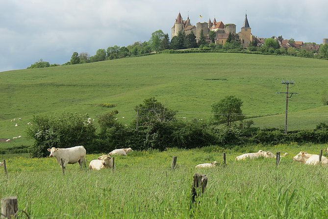 Private Wine Tour to Burgundy Region from Paris - Price and what you really get for a private group