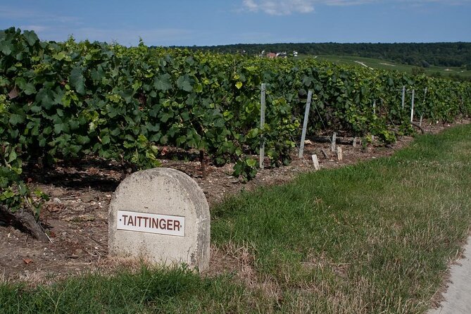 Private wine tour to Champagne region from Paris - The Quick Pitch: Why This Private Champagne Day Feels Different