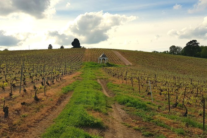 Private wine tour to Champagne region from Paris - Stop 2: Champagne Taittinger and Old Cellars You Can Feel