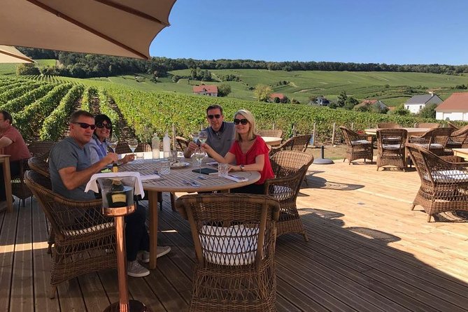 Private wine tour to Champagne region from Paris - Stop 5: Telmont in Damery, a Smaller Village Producer Stop