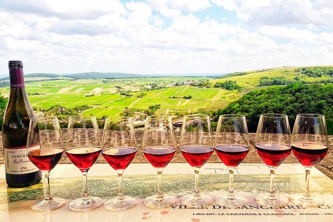 Private wine tour to Sancerre vineyards from Paris with Sommelier - Why This Private Sancerre Day Feels Tailor-Made