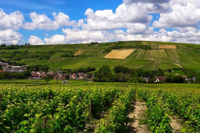 Private wine tour to Sancerre vineyards from Paris with Sommelier - The Guide Experience: English, On-Request Languages, and Sommelier Style