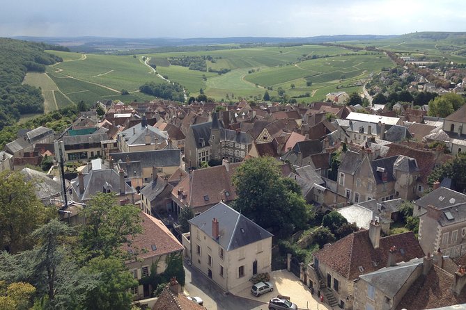 Private wine tour to Sancerre vineyards from Paris with Sommelier - Afternoon Winery Visit: Comparing Wines Without Losing the Day
