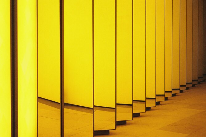 Skip-the-line Ticket Premium Access to Fondation Louis Vuitton - Common Ticket Problems and How to Avoid Them
