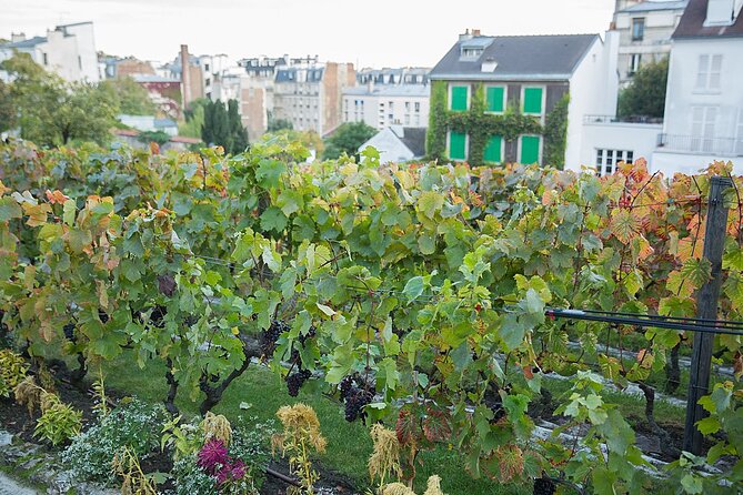 Small group visit to the Montmartre district in Italian - Beyond the basilica: what makes Sacré-Cœur worth more than a selfie