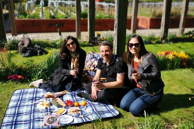 Stroll a Local French market & have a picnic - The picnic setup: where market choices become lunch with a view