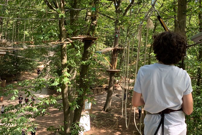 Tree Top Adventure in Forest of Meudon - What You’ll Do On Course: Zip Lines, Rope Bridges, and More