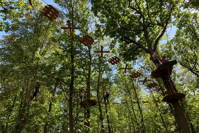 Tree Top Adventure in Forest of Meudon - Course Levels and Pass Value: Choosing the Right Routes