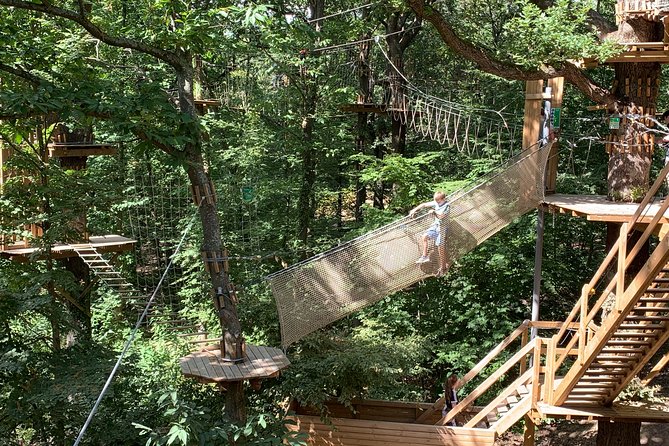 Tree Top Adventure in Forest of Meudon - Best Fit: Who This Works For (and Who Might Hesitate)