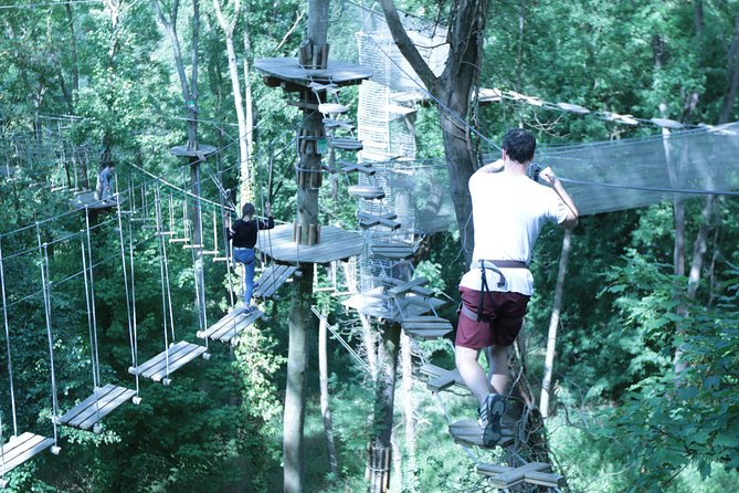 Tree Top Adventure in Rueil-Malmaison - AccroCamp Rueil-Malmaison: close to Paris, not in the city