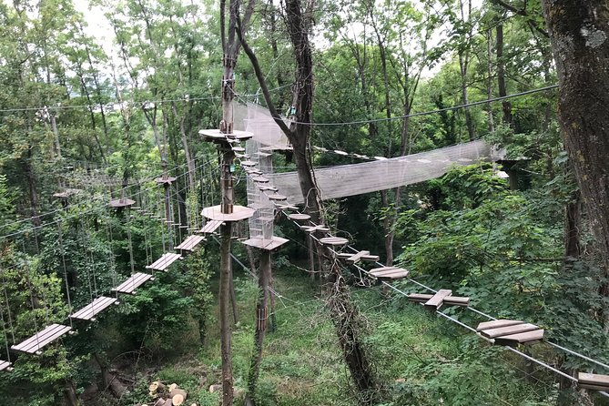 Tree Top Adventure in Rueil-Malmaison - Small group size and English-friendly instructions