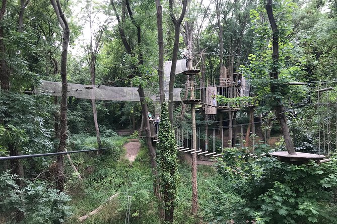 Tree Top Adventure in Rueil-Malmaison - Treetop courses with several difficulty levels