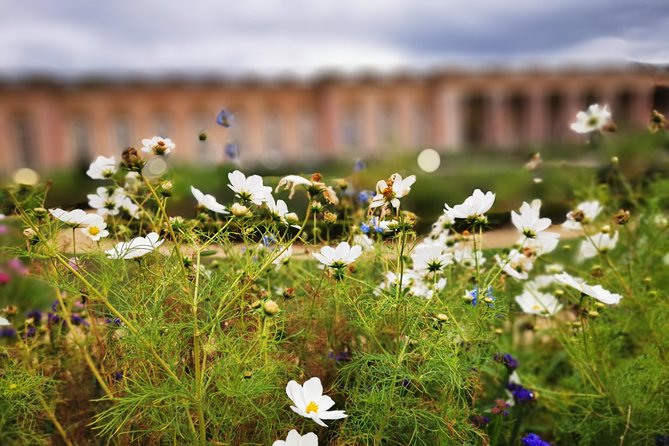 Versailles Full Day Private Guided Tour with Hotel Pickup - Palace of Versailles: Hall of Mirrors and the royal apartments, guided well