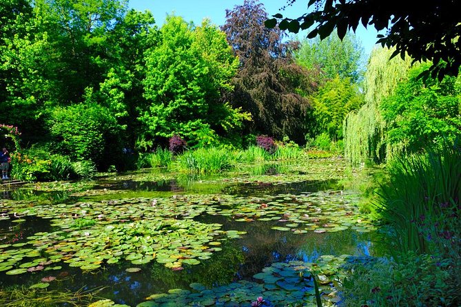 Versailles & Giverny Private Day Tour Luxury van & Private Guide - Lunch and downtime: what the guide support can look like