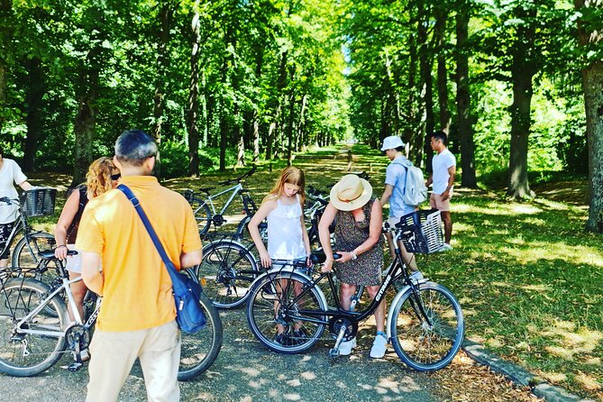 Versailles Golfcart & Bike Guided Tour: Gardens Hamlet Fountains - Stop 5: Palace of Versailles timed entry with a self-guided interior plan
