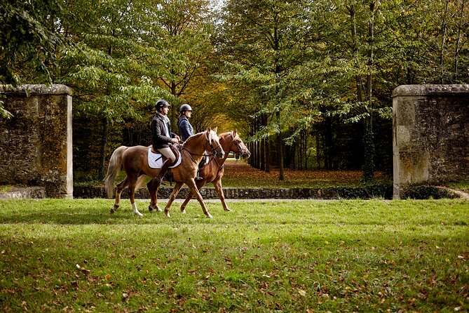 Versailles Private Tour : Horse-riding, Gastronomy & the Palace - A Hotel Pastry Start and Private Pickup That Keep the Day Calm