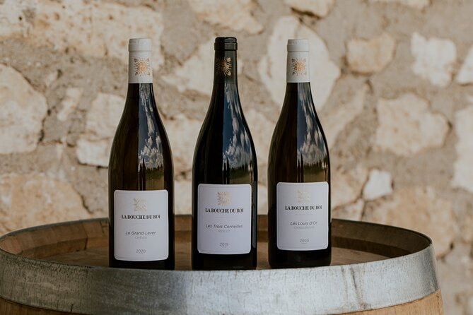 Vineyard tour and wine tasting in Davron - The vine visit: what you gain from being outdoors