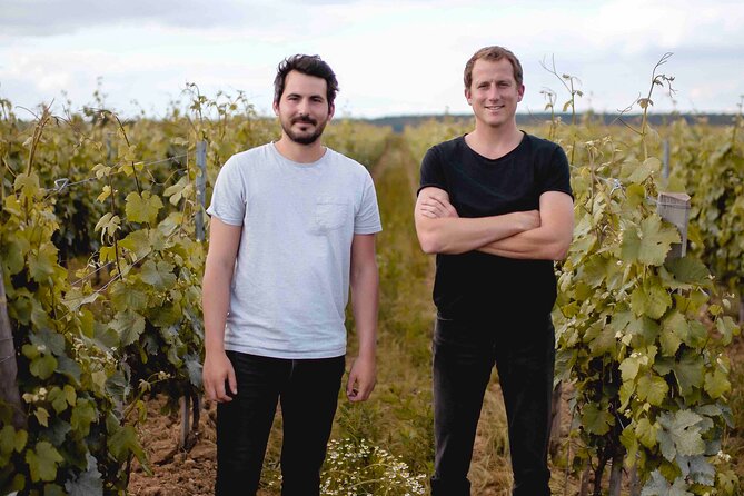 Vineyard tour and wine tasting in Davron - The 3 vintages tasting: how to get more than just the drink