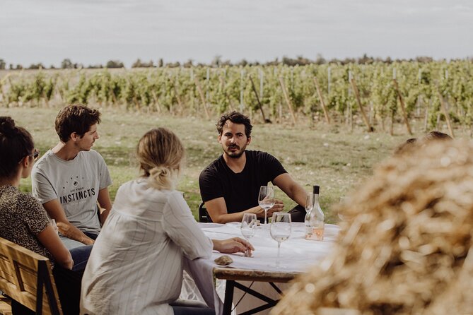 Vineyard tour and wine tasting in Davron - Guide quality in English: why it affects the whole afternoon
