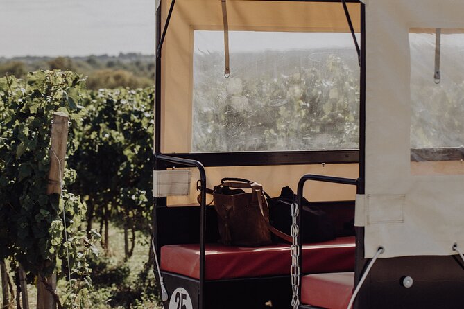 Vineyard tour and wine tasting in Davron - Timing rules and weather: simple planning that saves your day