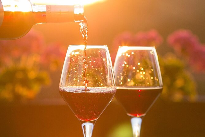 Vineyard tour and wine tasting in Davron - How the 1h30 schedule works once you’re with the guide