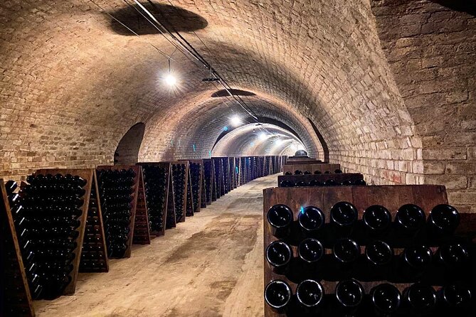 VIP Champagne Region Day Trip with 7 Tastings & Lunch from Paris - Guide Power: Why People Love This Day Trip
