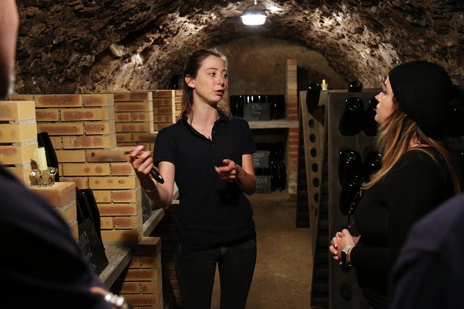VIP Champagne Region Day Trip with 7 Tastings & Lunch from Paris - Price and Value Check: Is $338.19 Worth It?