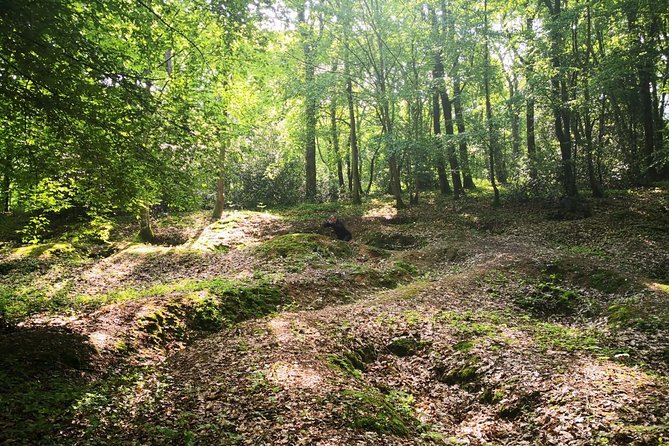 WW1 Belleau Wood and American Monument in Château-Thierry - Day trip from Paris - Stop 6: Museum of the Great War in Meaux, Where the Artifacts Fill the Gaps