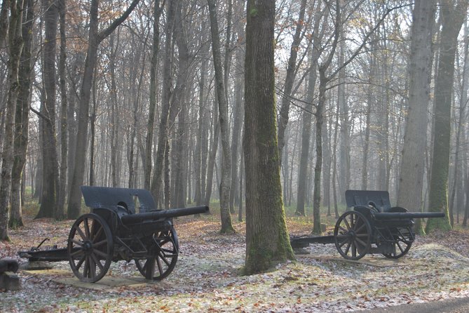 WWI Belleau Wood & Meaux Museum of the Great War Private Day Trip from Paris - Lunch and pacing: where the day can feel long