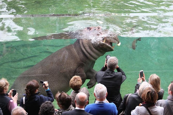 Zoo Of Beauval - Private Trip - Who this private Beauval trip suits best